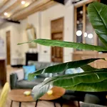 A Charming Stand And Flat In Αλικάντε